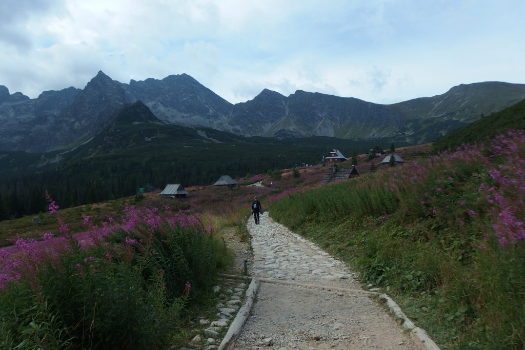 hala gąsienicowa tatra mountains poland