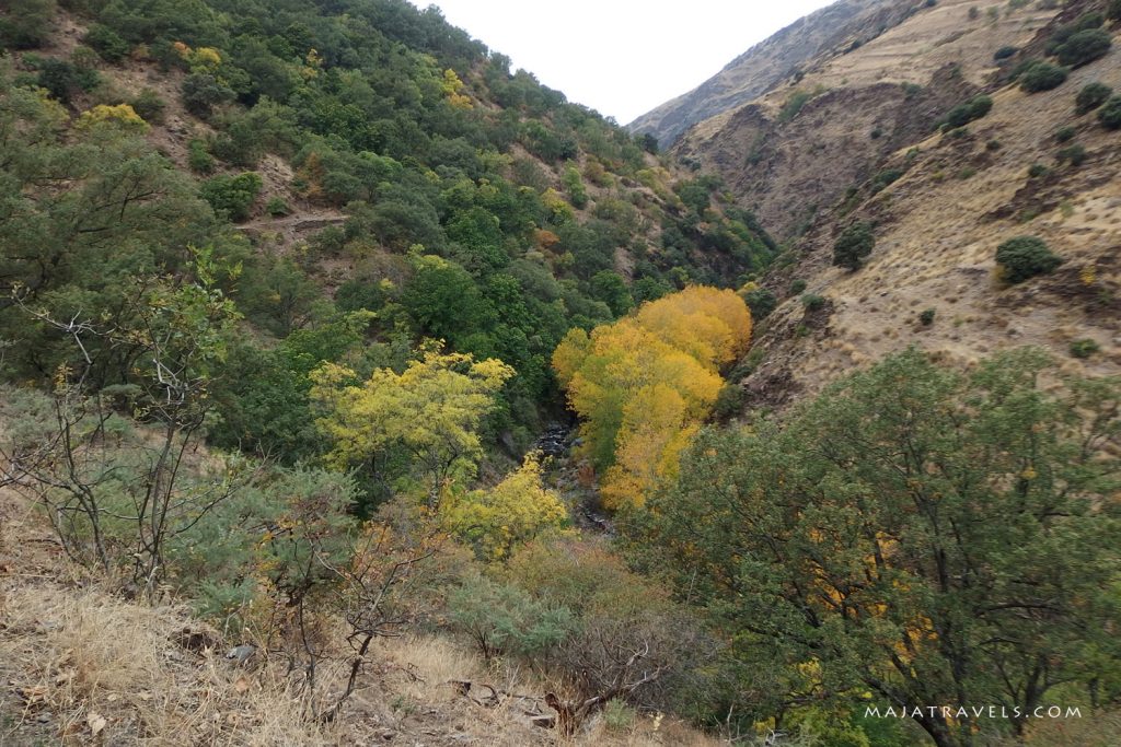 vereda de la estrella, góry sierra nevada