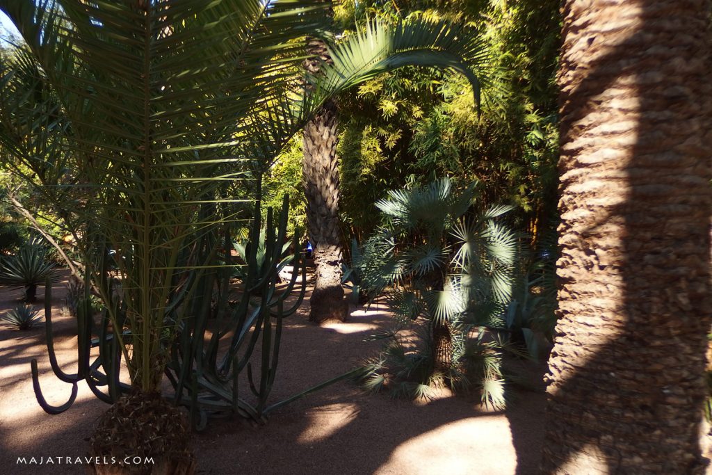 marrakech majorelle garden