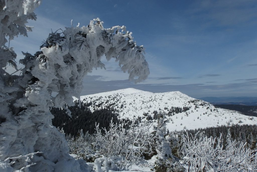 babia góra poland