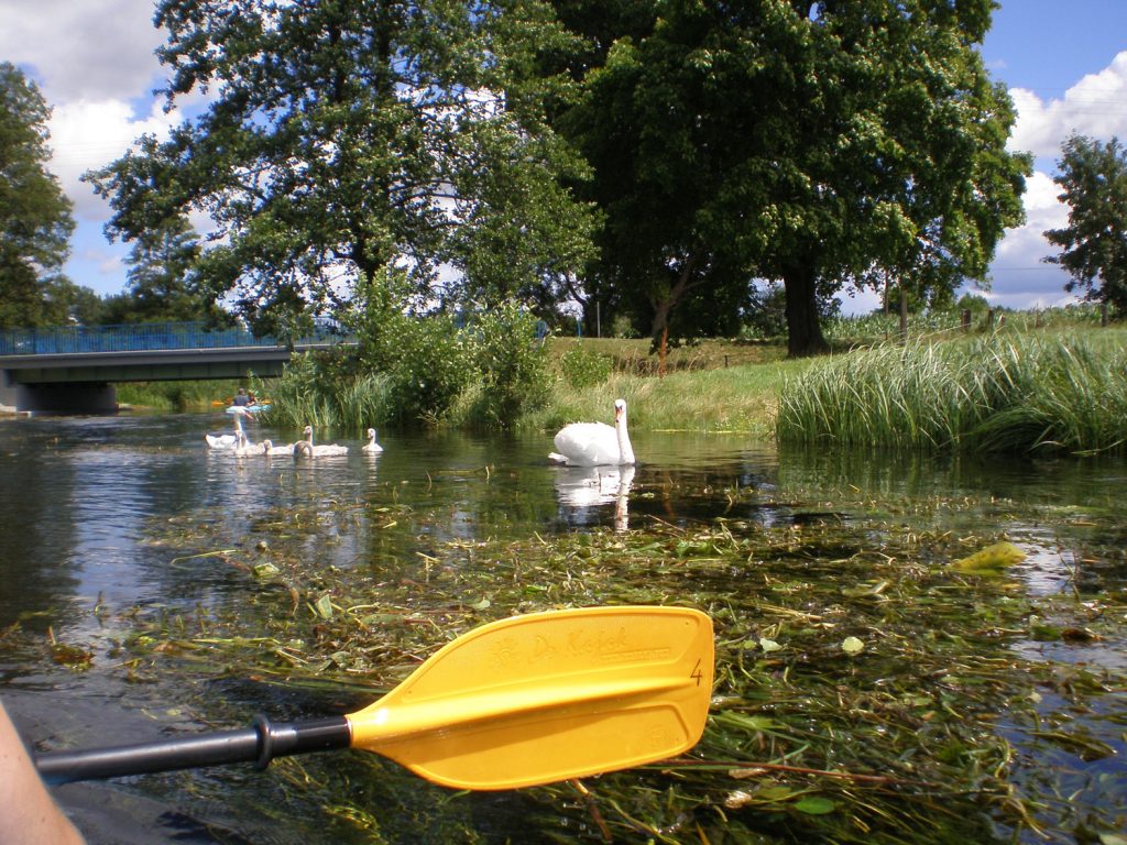 kayak czarna hancza poland