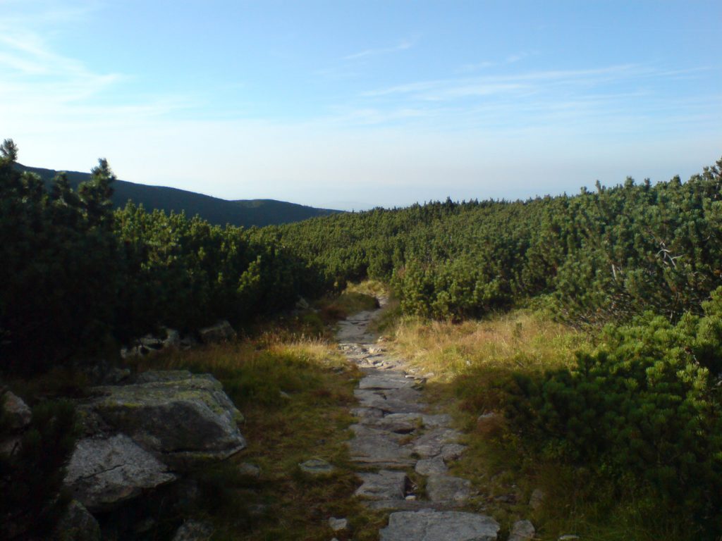 trail to murowaniec hut