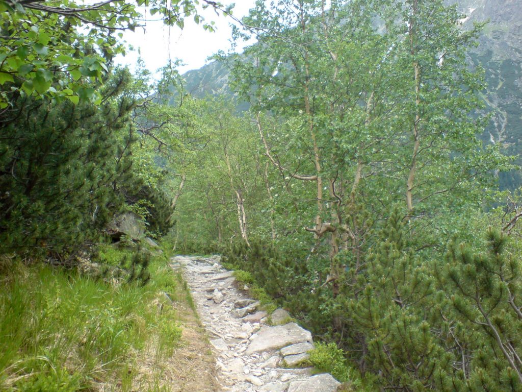 trail to morskie oko tatra mountains poland