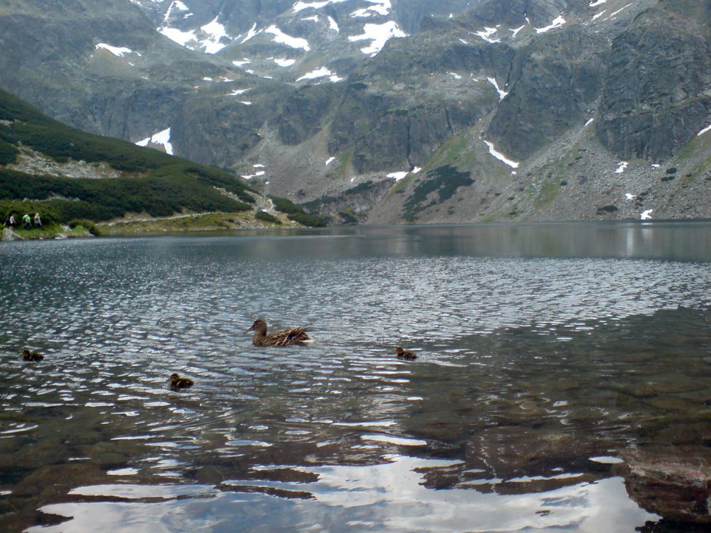 czarny staw tatra mountains poland