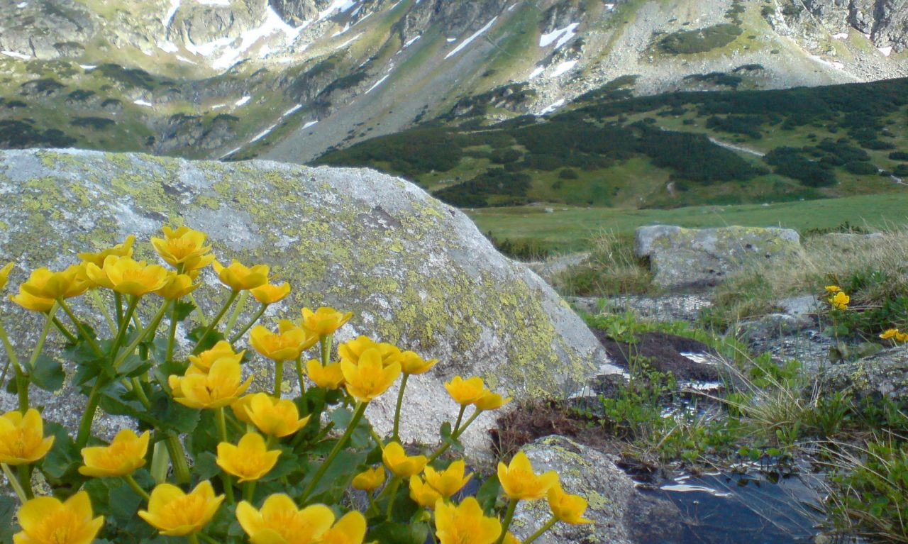 tatra mountains poland