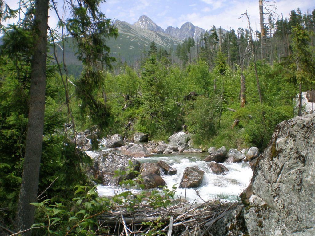 tatra mountains slovakia studena dolina