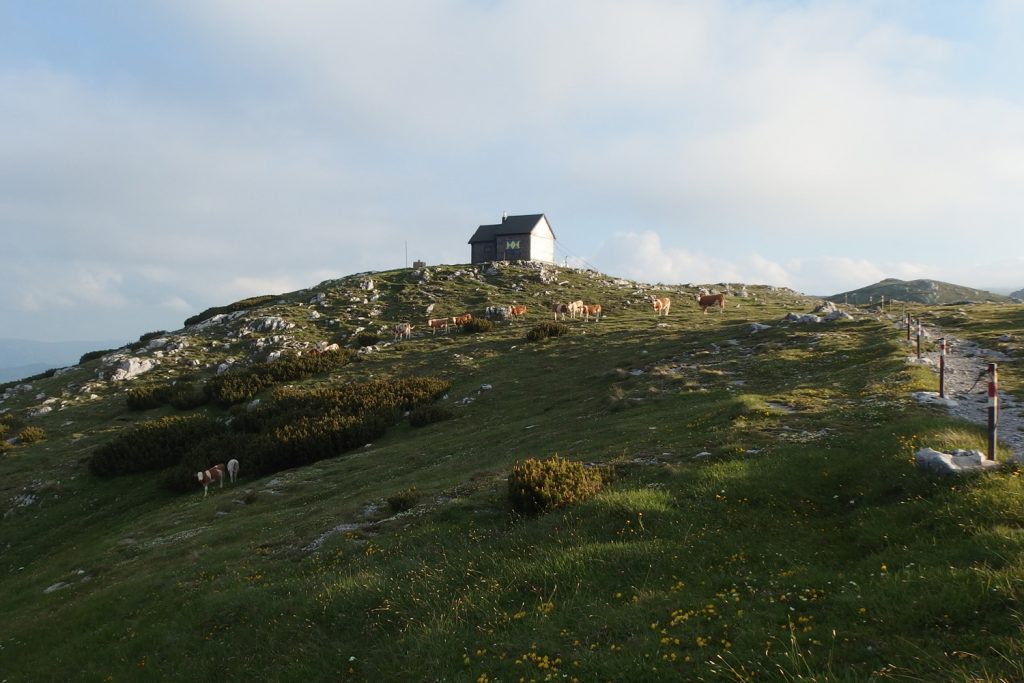 rax alps