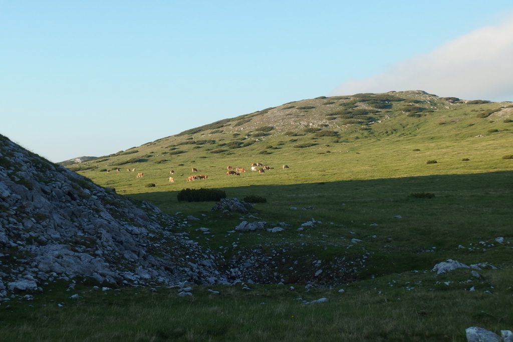 rax alps