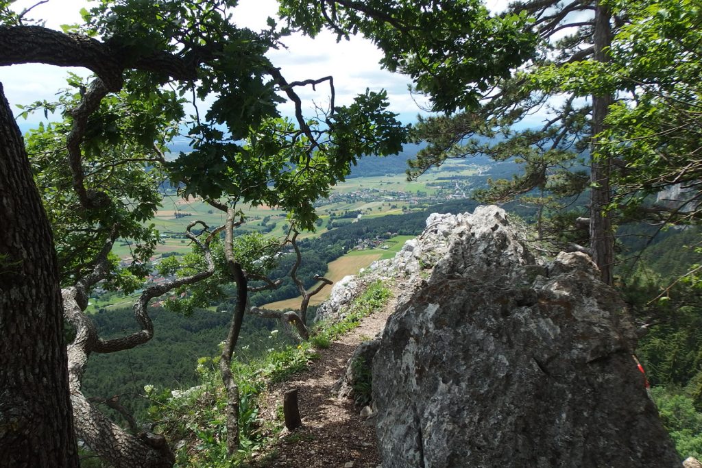 hohe wand austria