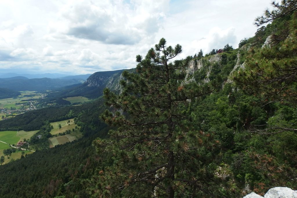 hohe wand austria