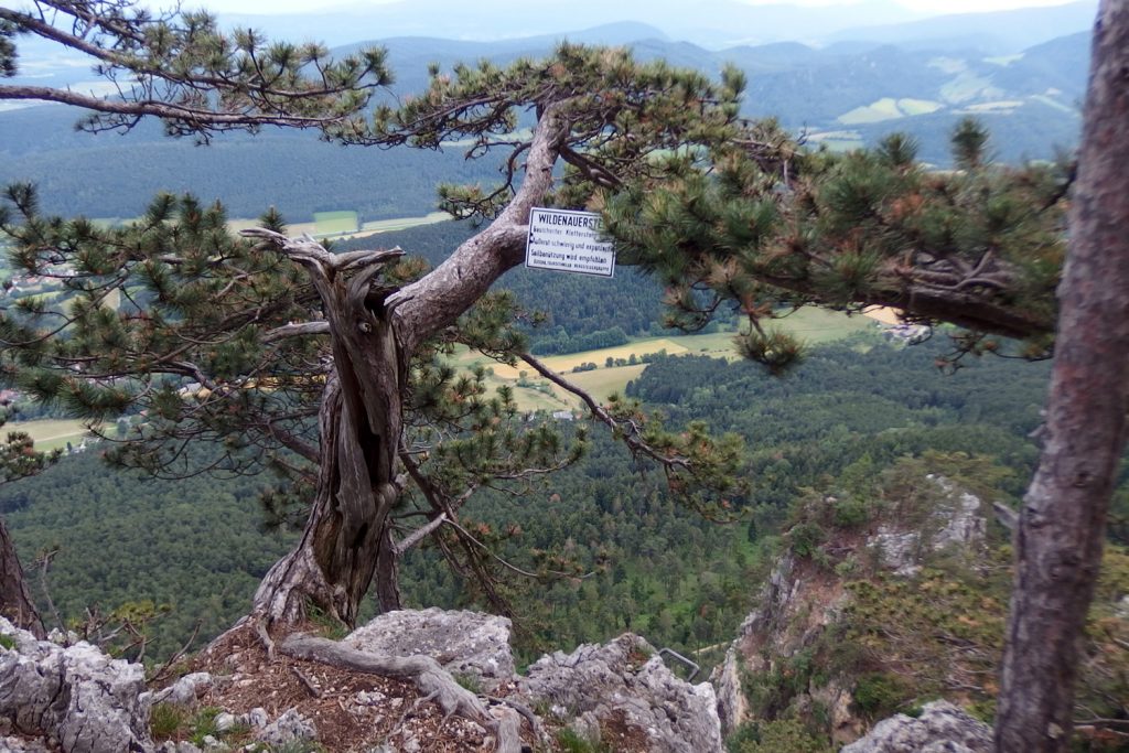 hohe wand austria