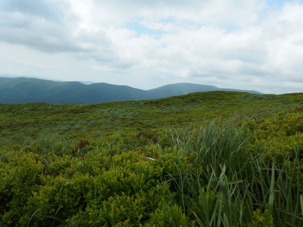 bieszczady mountains carynska polonyna