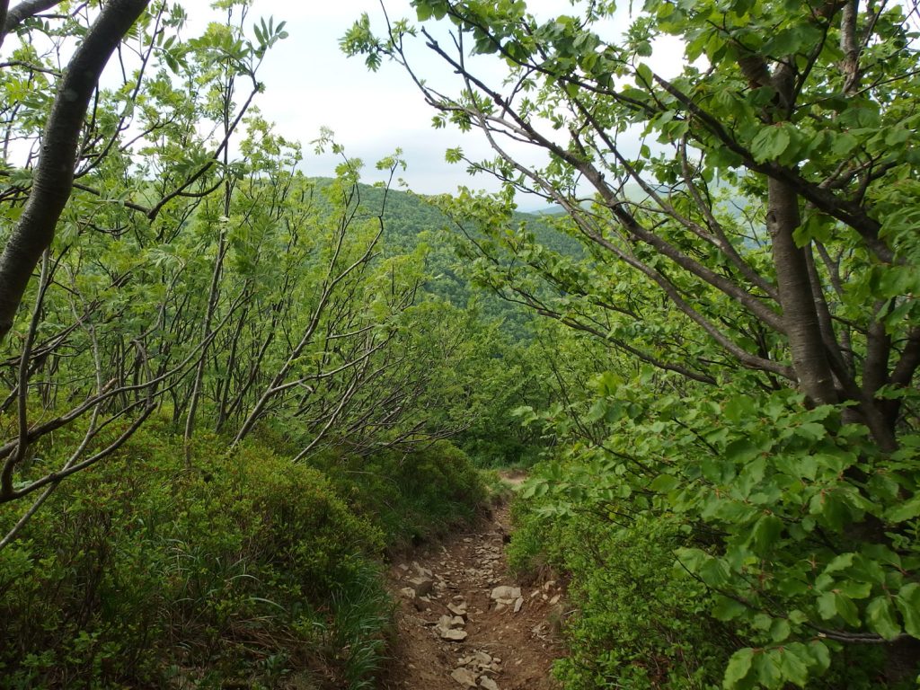 bieszczady mountains wielka rawka