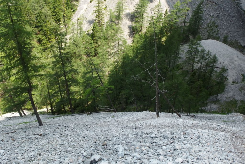 wildfahrte ferrata