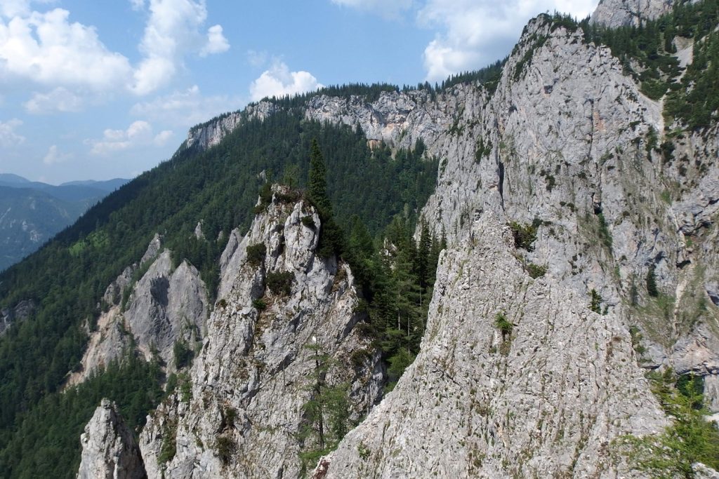 wildfahrte ferrata