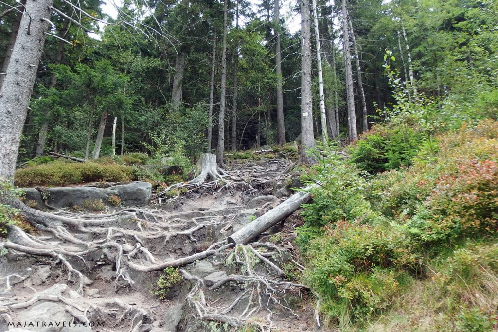 stołowe mountains national park