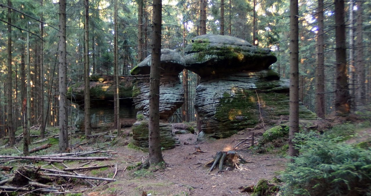 mushroom rocks