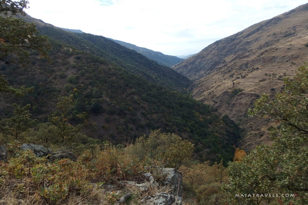 vereda de la estrella sierra nevada