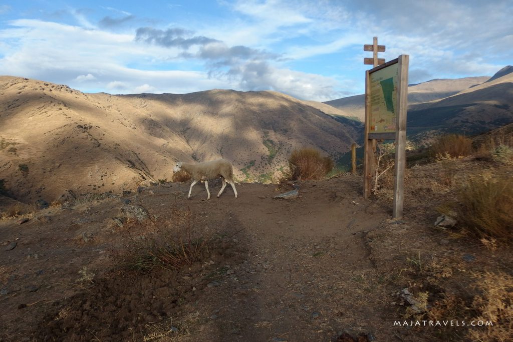 vereda de la estrella sierra nevada