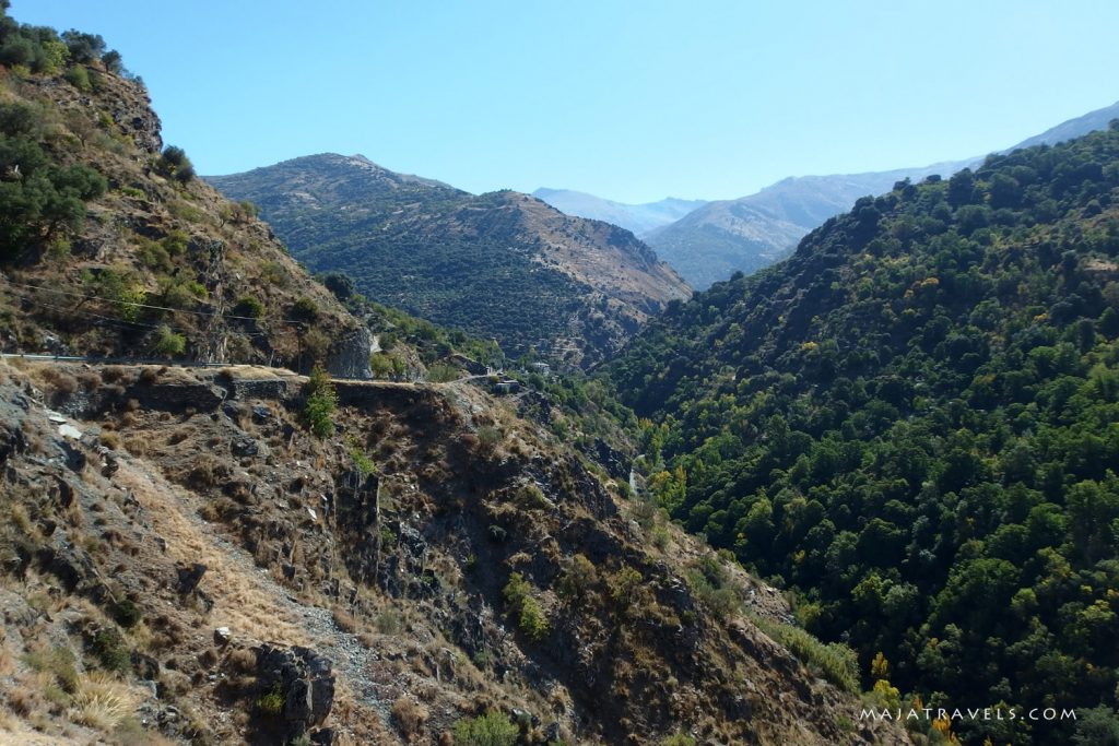 vereda de la estrella sierra nevada