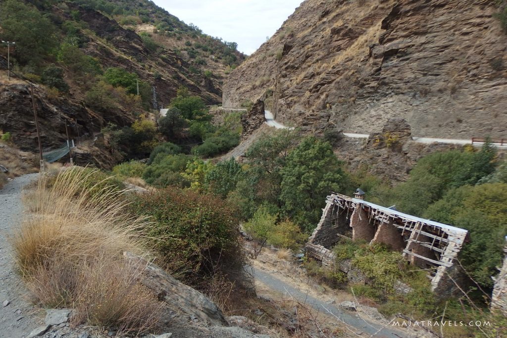 vereda de la estrella sierra nevada