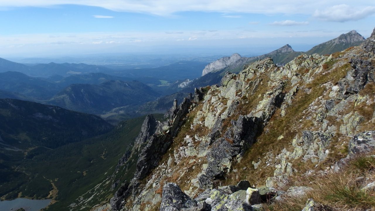 lamb summit slovakia