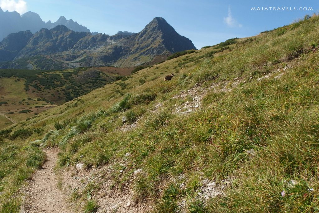 belianske tatras slovakia