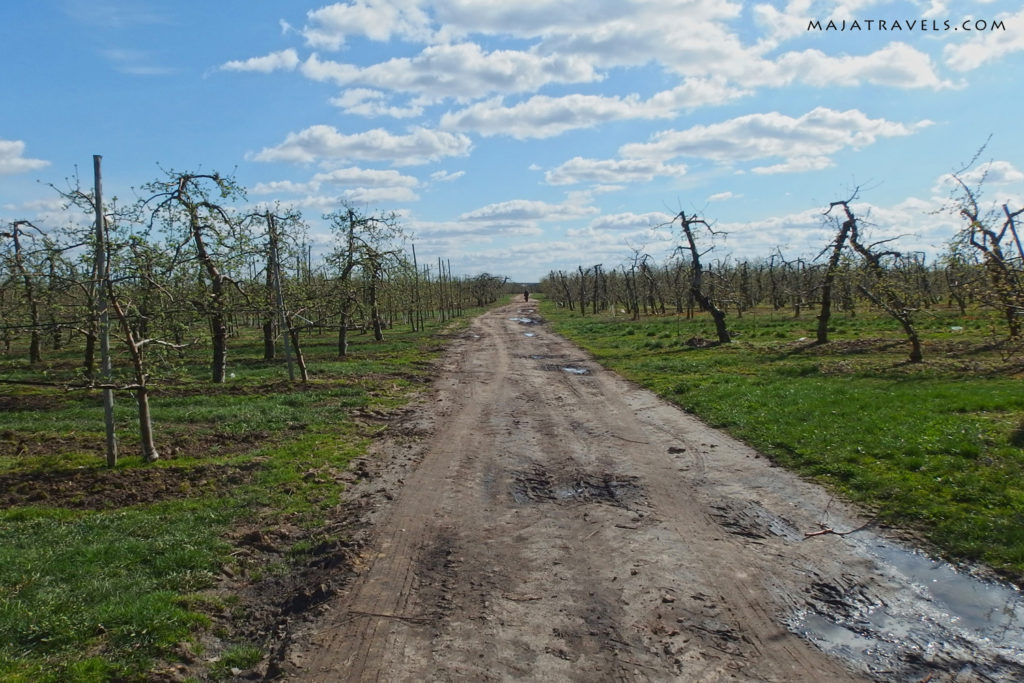 bicycle route warsaw czersk warka