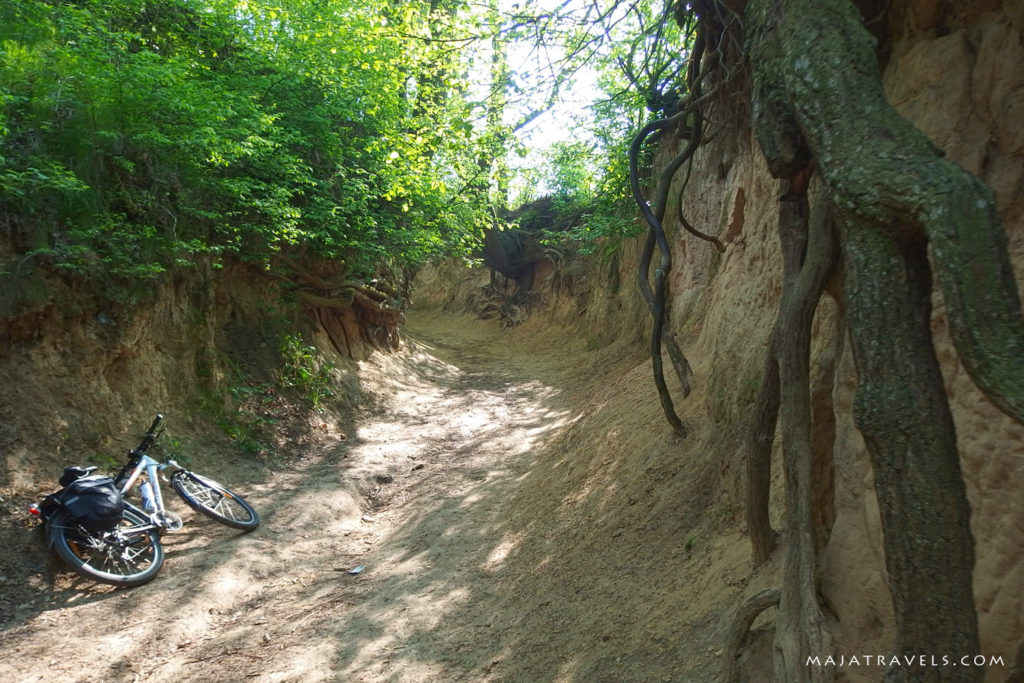 loess gully kazimierz dolny