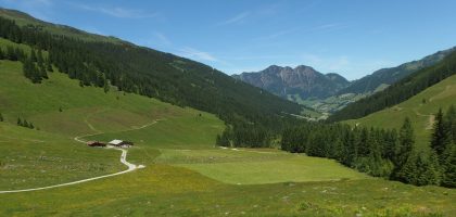 kitzbuhel alps alpbach summer