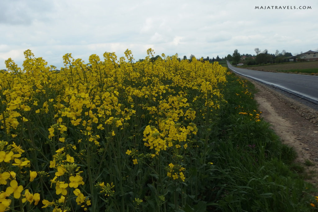 by bicycle from lublin to kazimierz dolny