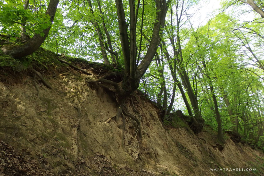 by bicycle from lublin to kazimierz dolny