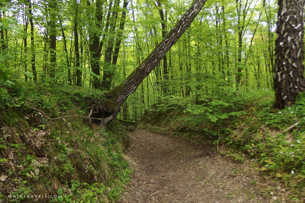 by bicycle from lublin to kazimierz dolny