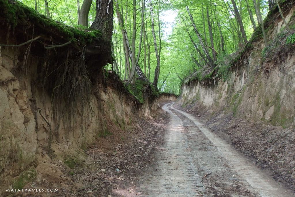 by bicycle from lublin to kazimierz dolny