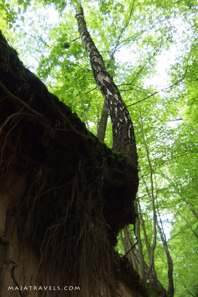 by bicycle from lublin to kazimierz dolny