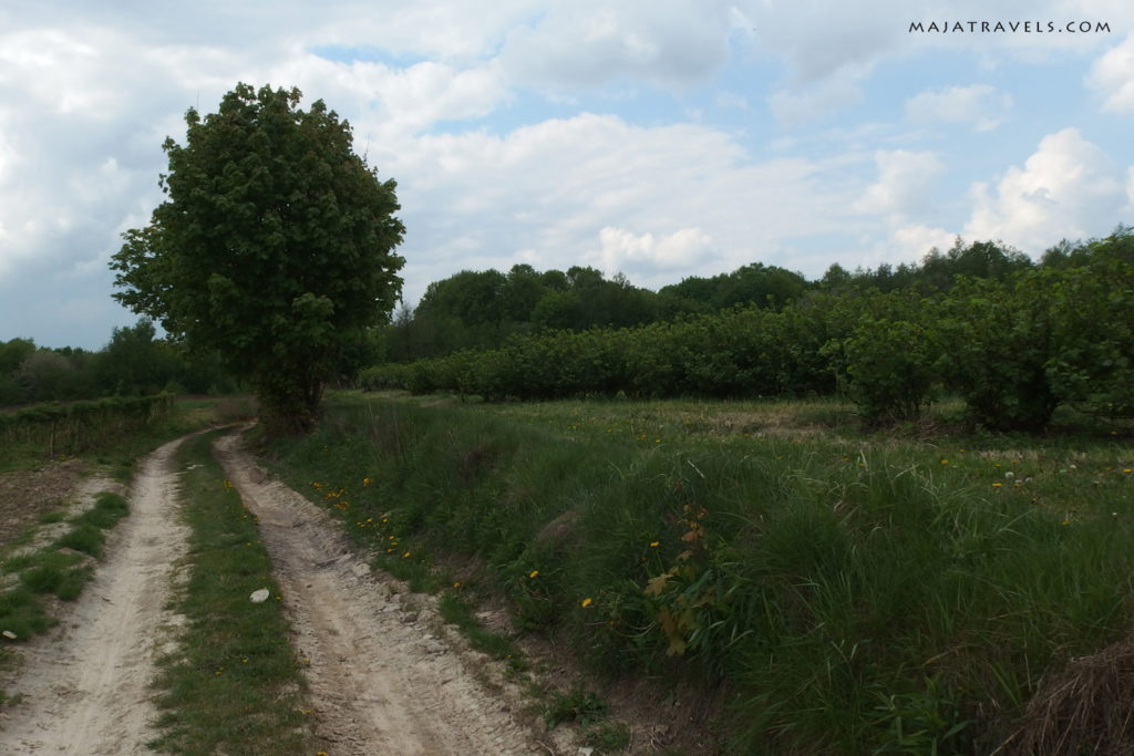 by bicycle from kazimierz dolny to dęblin