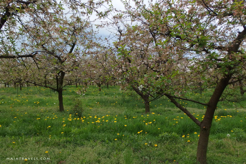 by bicycle from kazimierz dolny to dęblin