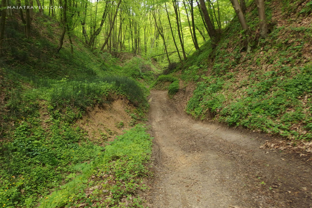 by bicycle from kazimierz dolny to dęblin