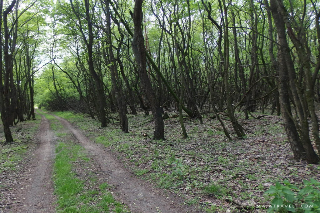 by bicycle from kazimierz dolny to dęblin