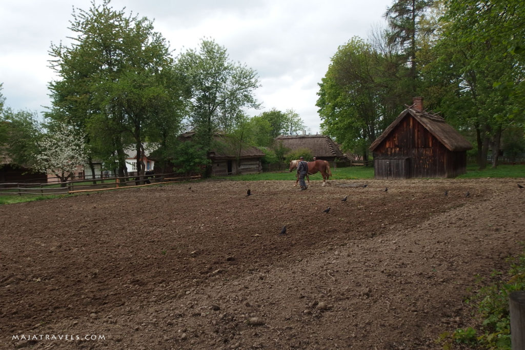 skansen lublin