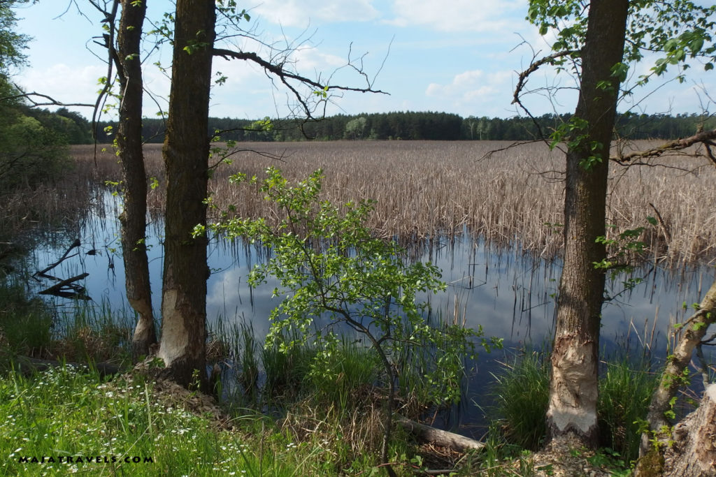 by bicycle from kazimierz dolny to dęblin