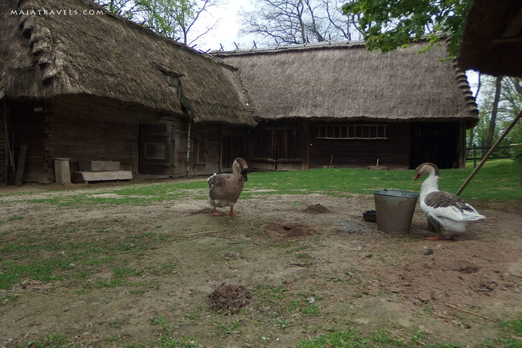 skansen lublin