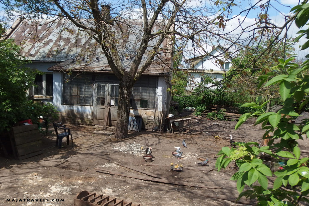 by bicycle from kazimierz dolny to opole lubelskie