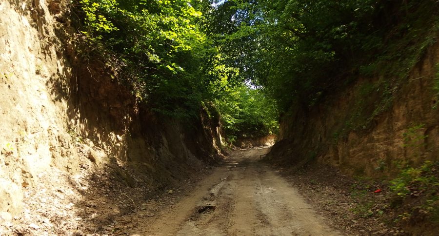 loess gully close to kazimierz dolny in poland