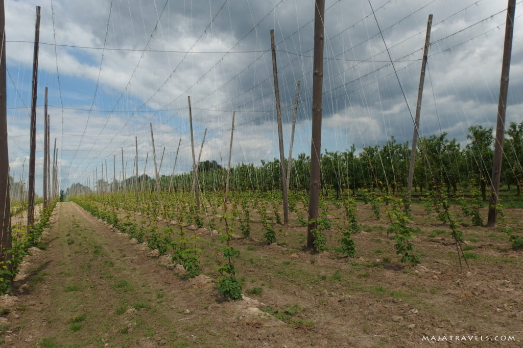 by bicycle from kazimierz dolny to opole lubelskie