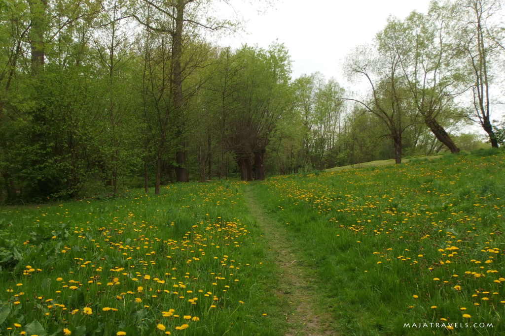 by bicycle from lublin to kazimierz dolny