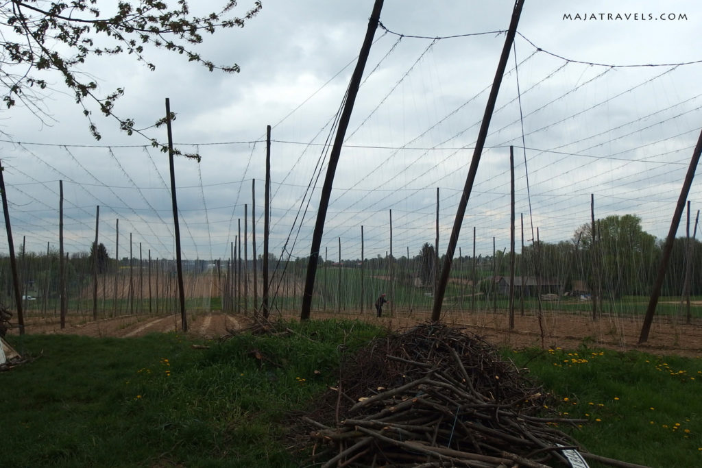 by bicycle from lublin to kazimierz dolny