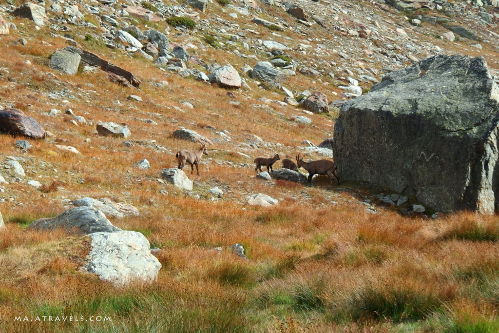 via ferrata jagihorn