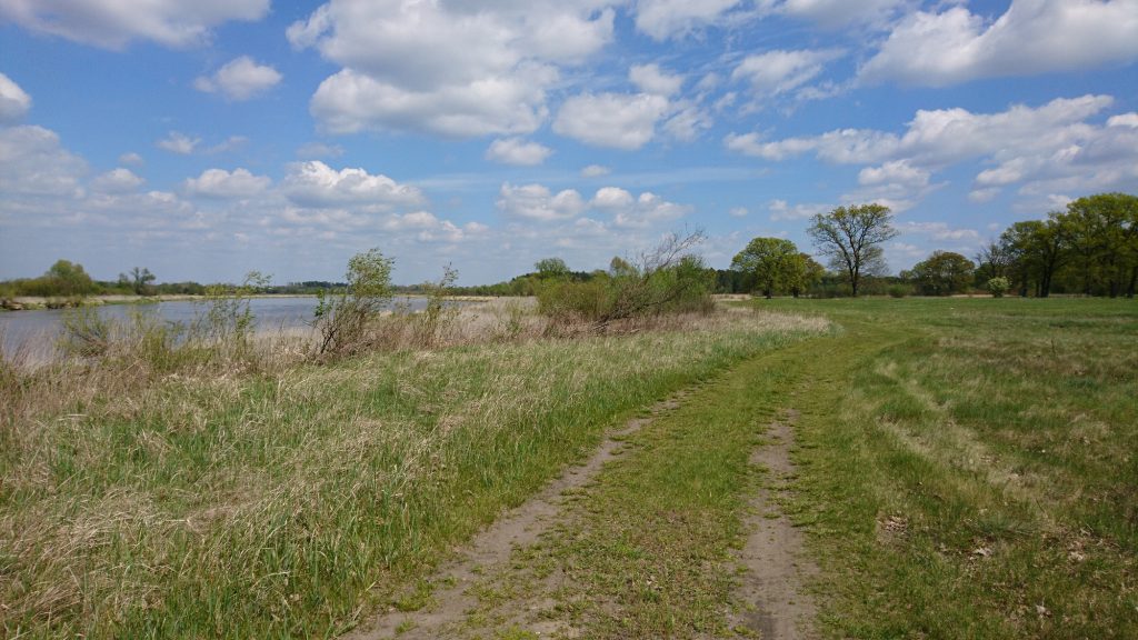 nadbużański szlak rowerowy