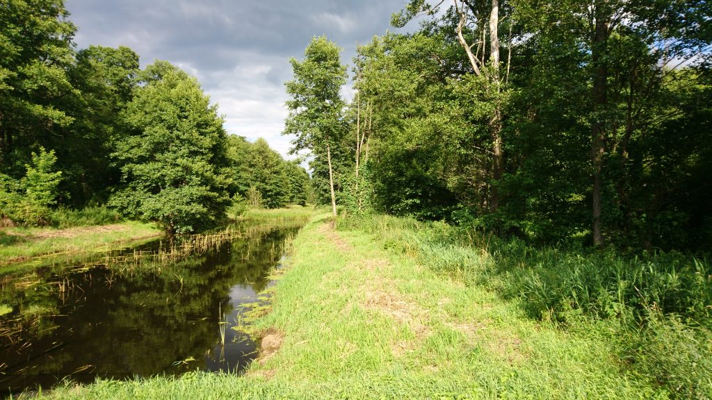 kampinoski park narodowy na rowerze, krwawa pętla, kanał łasica